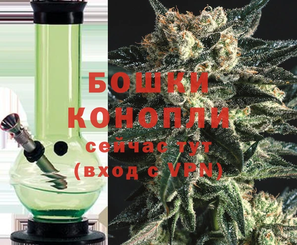 индика Нефтекумск