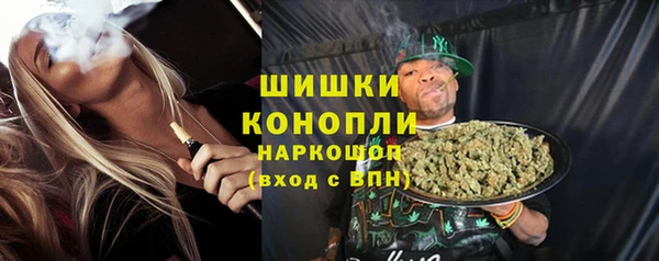 ECSTASY Бикин