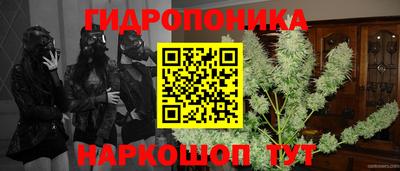 гашишное масло Заволжье