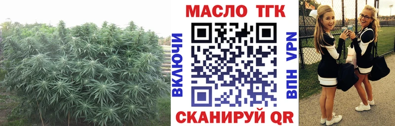 ТГК Wax Заинск