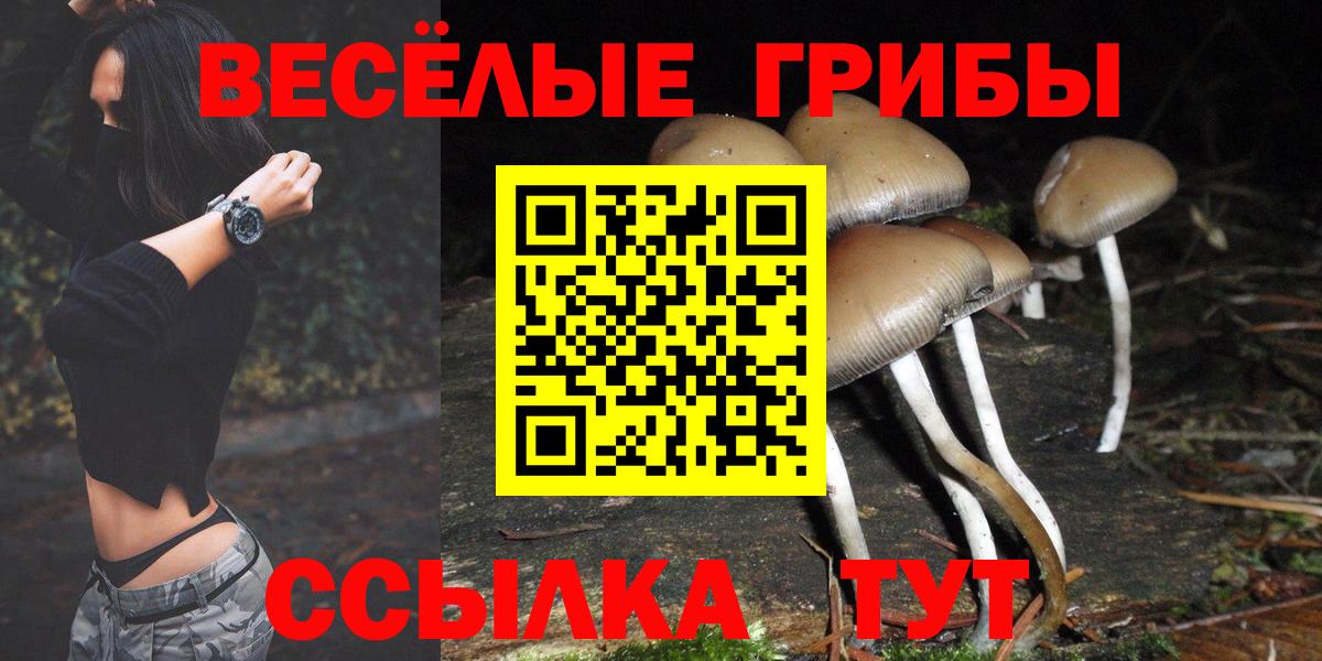 Галлюциногенные грибы ЛСД  Вход с VPN  Заинск 