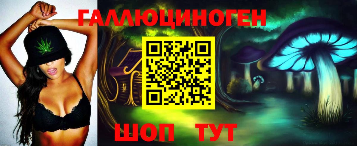 Псилоцибиновые грибы Psilocybine cubensis  где купить наркоту  Заинск 