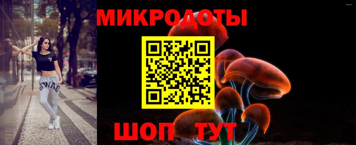 Галлюциногенные грибы MAGIC MUSHROOMS Заинск